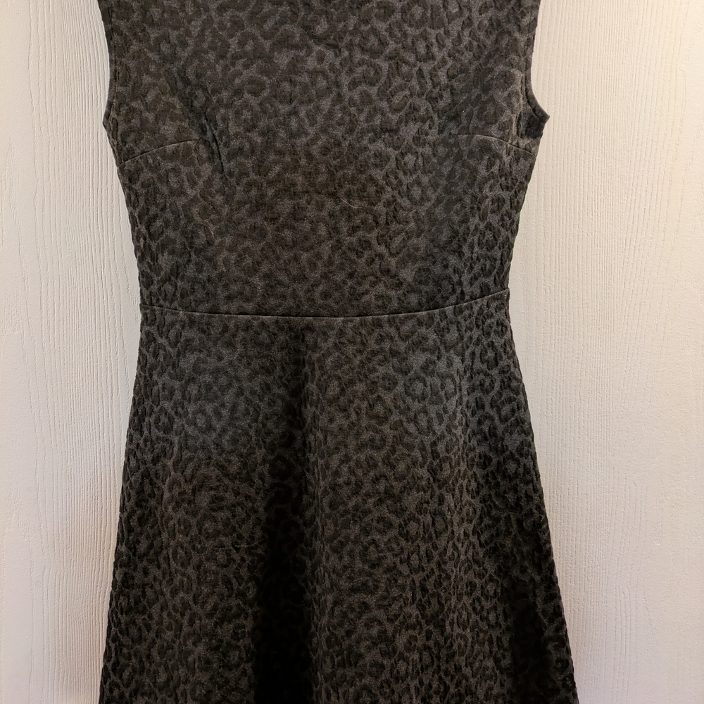 LOFT Leopard Print Dress